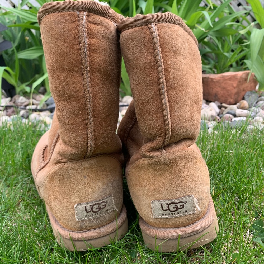 Ugg Boots